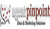 Agent Pinpoint Logo